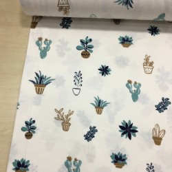 Saksılı Kaktüs Pazen Kumaş